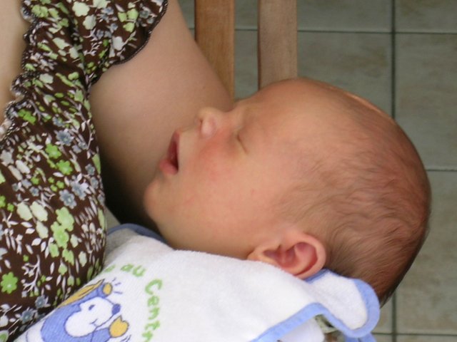 DSCN4101.JPG